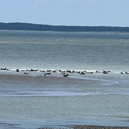 Front De Mer, 